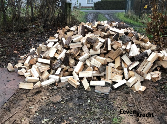 hout