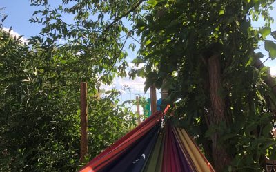 Zomer in de (moes)tuin