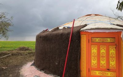 Yurt